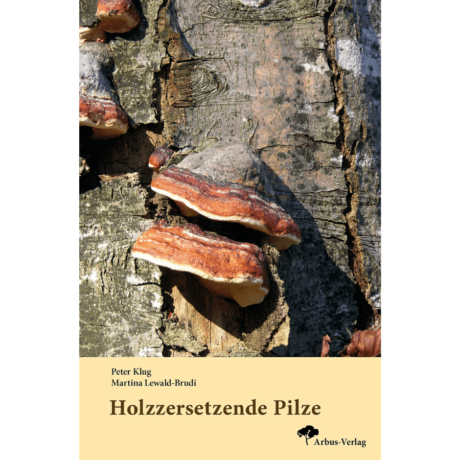 Holzzersetzende Pilze