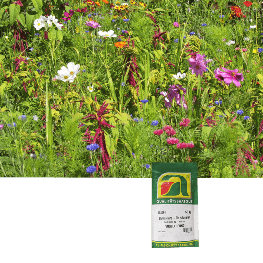 Blumensamenmischung "Blühmischung Vogelfreund einjährig"